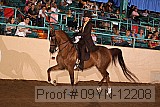 09yn-12208 proof