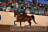09yn-12209 proof