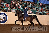 09yn-12211 proof