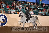 09yn-12212 proof