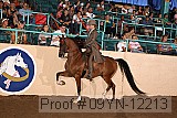 09yn-12213 proof