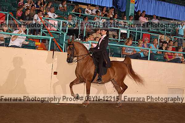 Proof 09yn-12215