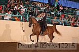 09yn-12215 proof