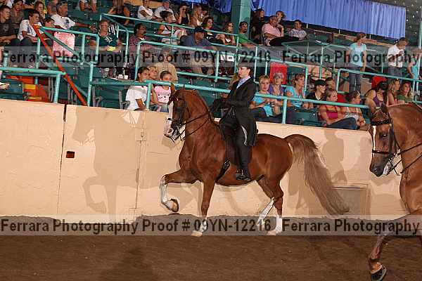 Proof 09yn-12216
