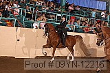 09yn-12216 proof