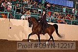 09yn-12217 proof
