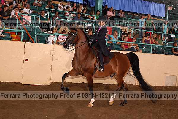 Proof 09yn-12218
