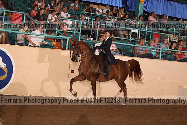 Proof 09yn-12219