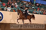 09yn-12219 proof