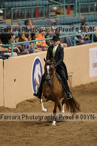 Proof 09yn-12220
