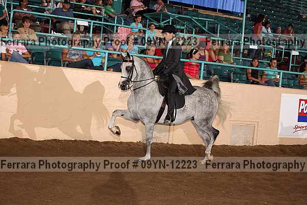 Proof 09yn-12223
