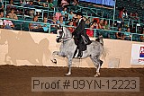 09yn-12223 proof