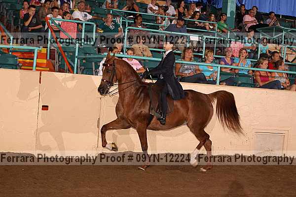 Proof 09yn-12224