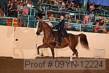09yn-12224 proof