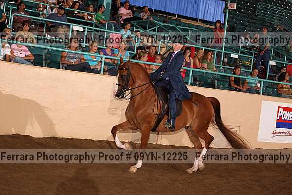 Proof 09yn-12225