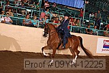 09yn-12225 proof