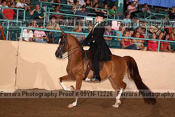 Proof 09yn-12226
