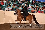 09yn-12226 proof