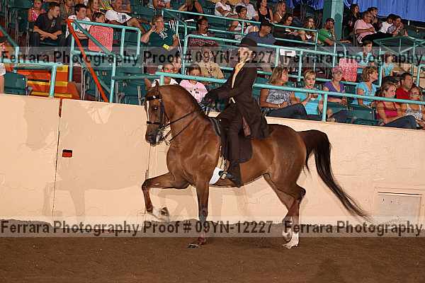 Proof 09yn-12227