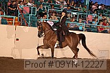 09yn-12227 proof