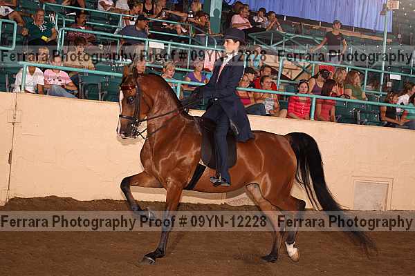 Proof 09yn-12228