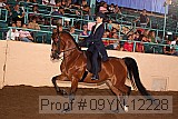 09yn-12228 proof
