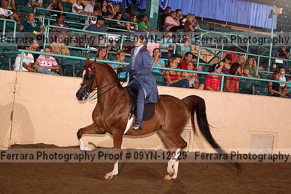 Proof 09yn-12229