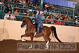 09yn-12229 proof