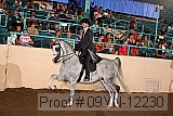 09yn-12230 proof