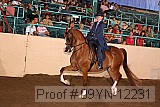 09yn-12231 proof