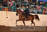 09yn-12232 proof