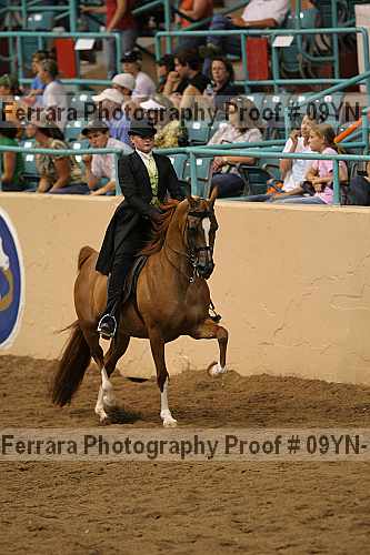 Proof 09yn-12244