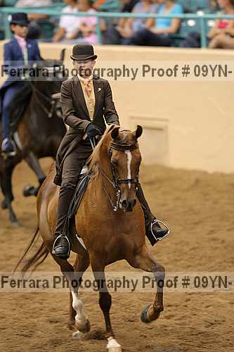 Proof 09yn-12251