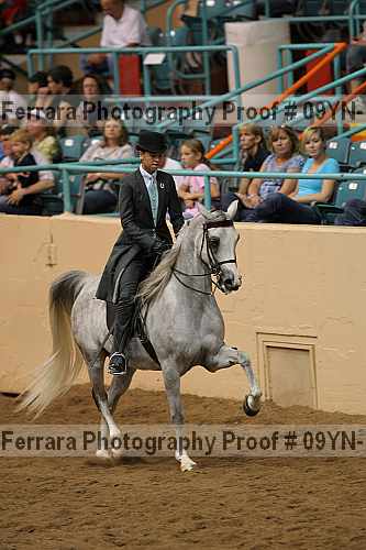 Proof 09yn-12253