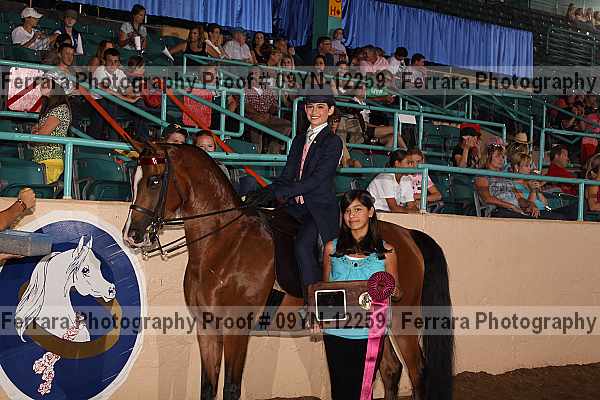 Proof 09yn-12259