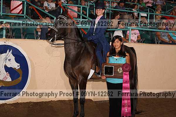 Proof 09yn-12262