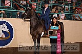 09yn-12262 proof