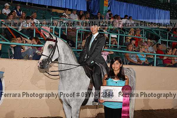 Proof 09yn-12264