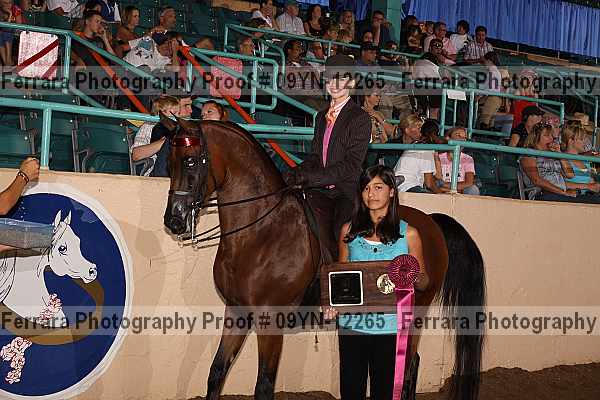 Proof 09yn-12265