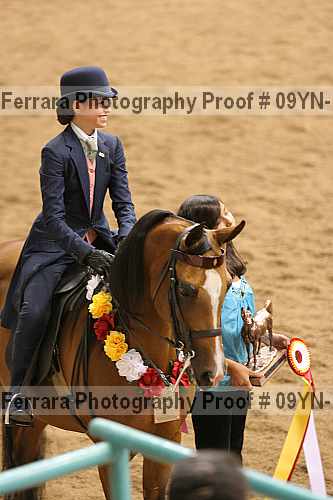 Proof 09yn-12274