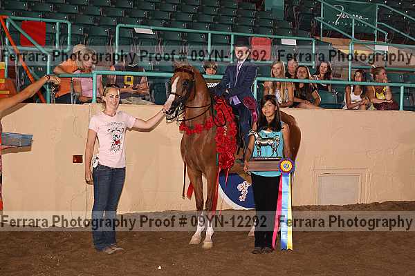 Proof 09yn-12292