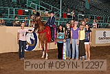 09yn-12297 proof