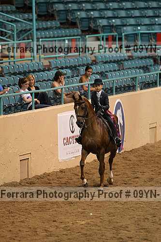 Proof 09yn-12298