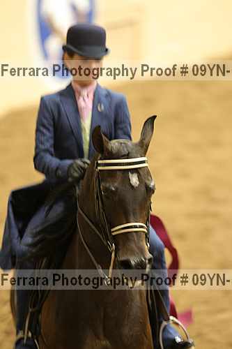 Proof 09yn-12305