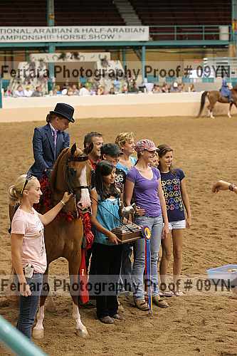 Proof 09yn-12323