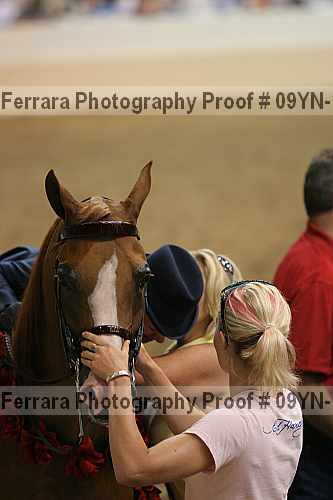 Proof 09yn-12333