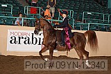 09yn-12340 proof