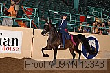 09yn-12343 proof
