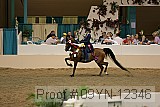 09yn-12346 proof