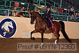 09yn-12360 proof